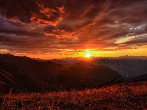Ритам раног јутра