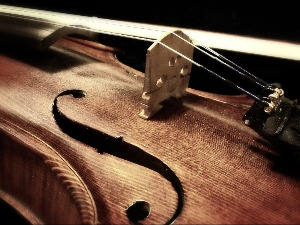 Нова дискографија – Виолина неограничено