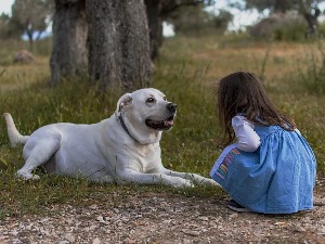 Зашто пси имају кратак животни век и од чега зависи колико ће живети