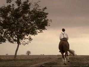  1001 Траг - Ах кад тебе љубит не смем - Живан Милић 