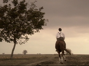  1001 Траг - Пусти ме да нађем срцу лек - Гордана Стојићевић 