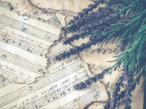 	Свирај свирче - Тарагот 