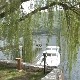 Дунавом стижу страни туристи – шта их мами да посете Србију
