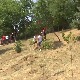 Ваљевски ђаци засадили више од стотину стабала у дворишту школе