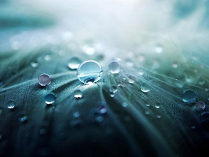  1001 Траг - Кишо тихо падај - Мерима Његомир 