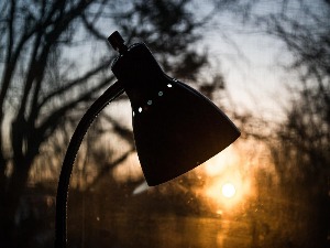Ритам раног јутра