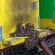  У пожешком крају за неколико дана нестало више од 40 кошница