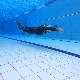 Београд поново домаћин Светског првенства у роњењу на дах у затвореним базенима
