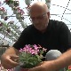 Мајур код Шапца: Раскошне боје и мириси сезонског цвећа
