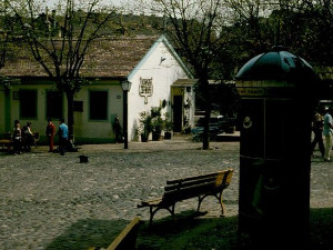  1001 Траг - Дођи до Скадарлије - Раде Вучковић 