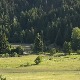 На свако посечено стабло плаћа се такса, колико се тог новца враћа у шуме