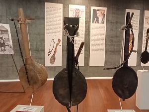 Гусле - где сви ћуте, оне говоре