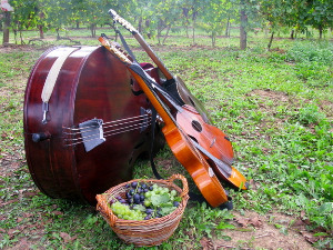 Тамбурица златна жица 