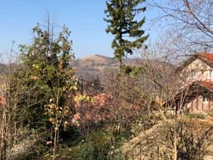  1001 Траг - Шумадијо - Ера Ојданић 