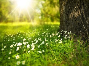 Летњи музички маратон 202: Летња природа