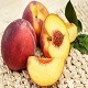 Летњи музички маратон 202: Укуси лета
