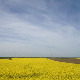 	Фолдер Србија: Дажбог 