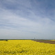 Фолдер Србија: Хорс