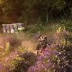 Како робот Спасоје штеди време и новац, и зашто су га баш тако крстили