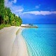 Летњи музички маратон 202: Клуб Тропикана