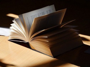 Немања Митровић: Присуство одсуства