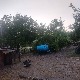 Ветар обарао стабла код Зајечара и Књажевца, пљусак у Лесковцу