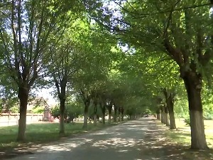Крените на  „Панонски сафари“ у Бело Блато, место где почива Атила Бич Божји 