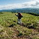 Подељено 100.000 ваучера за одмор