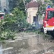 Ветар у Нишу обарао стабла, РХМЗ издао упозорење за исток, југоисток и југозапад Србије