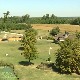 У Засавици све зелено, па и енергија