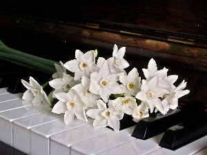 Марта Аргерич