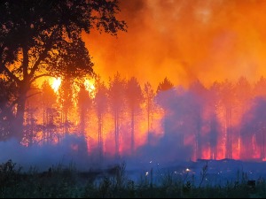 Пожари букте широм Европе, од Португалије до Грчке