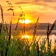 Ритам раног јутра
