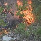 Пожар у Билећи локализован, ситуација стабилна 