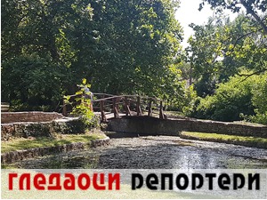 Гледаоци репортери (19. јул 2022)