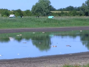 Има ли наде за Чонопљанско језеро