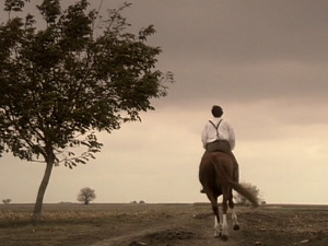  1001 Траг - Без љубави све је пусто - Недељко Билкић 