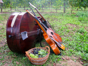 Тамбурица златна жица 