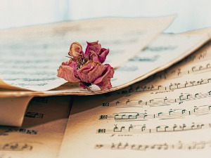 Променада - Београдски сабор 1969. 