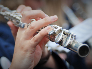 	Свирај свирче - флаута