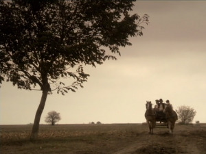  1001 Траг - Тужно ветри гором вију - Нестор Габрић 