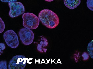 Животна средина и здравље:	 Гомилање опасног отпада