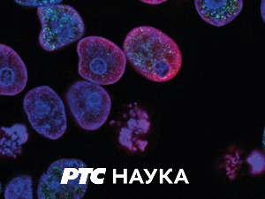 Образовно огледало:	 Страх и стрепња