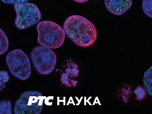 Човек и камен:	 Музеј минерала Панчево