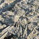 Предатор из доба јуре -  откривена риба фосил која искаче из стене 