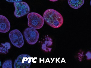 Разоткривање:  Билошки рат – борба са супербубама