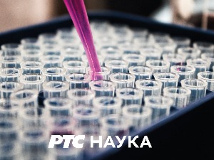 Доктор Вирус и господин Хајд