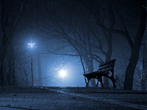 Ноћне променаде