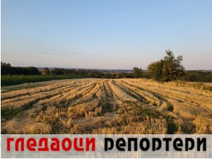 Гледаоци репортери (5. август 2022)