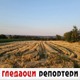 Гледаоци репортери (5. август 2022)